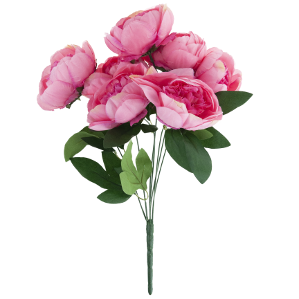 CV38309-2 PEONIA BUKIET X7