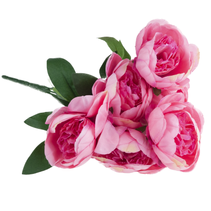 CV38309-2 PEONIA BUKIET X7