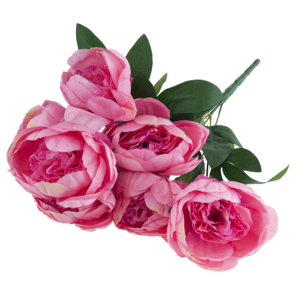 CV38309-2 PEONIA BUKIET X7