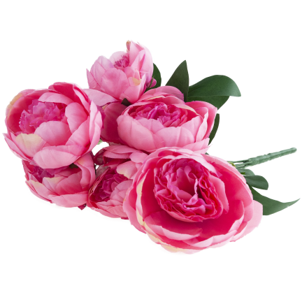 CV38309-2 PEONIA BUKIET X7