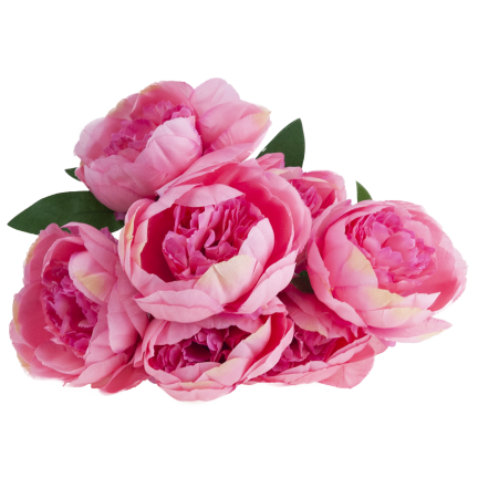 CV38309-2 PEONIA BUKIET X7