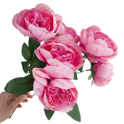 CV38309-2 PEONIA BUKIET X7