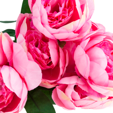 CV38309-2 PEONIA BUKIET X7