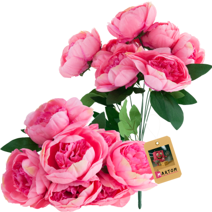 CV38309-2 PEONIA BUKIET X7