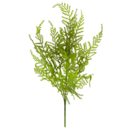 CV38574 BUKIET ZIELONYCH GAŁĄZEK ASZPARAGUS LIŚCIE ZIELEŃ  X5