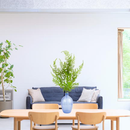 CV38574 BUKIET ZIELONYCH GAŁĄZEK ASZPARAGUS LIŚCIE ZIELEŃ  X5