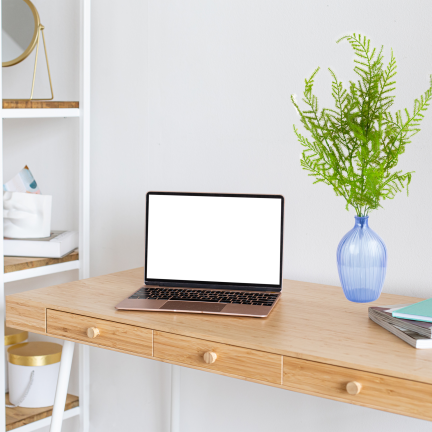 CV38574 BUKIET ZIELONYCH GAŁĄZEK ASZPARAGUS LIŚCIE ZIELEŃ  X5