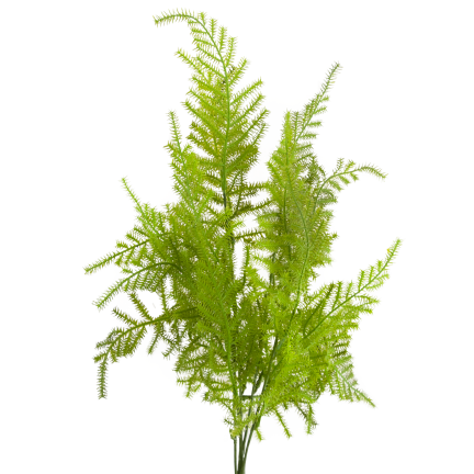 CV38574 BUKIET ZIELONYCH GAŁĄZEK ASZPARAGUS LIŚCIE ZIELEŃ  X5