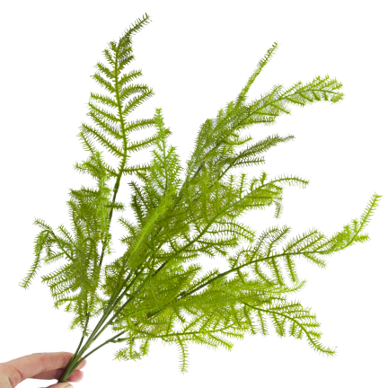 CV38574 BUKIET ZIELONYCH GAŁĄZEK ASZPARAGUS LIŚCIE ZIELEŃ  X5