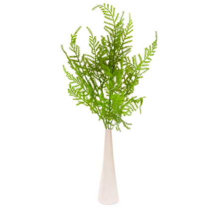 CV38574 BUKIET ZIELONYCH GAŁĄZEK ASZPARAGUS LIŚCIE ZIELEŃ  X5