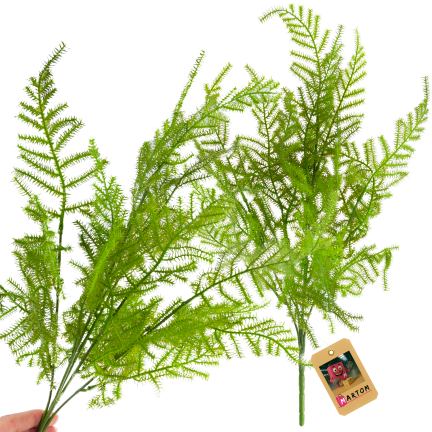 CV38574 BUKIET ZIELONYCH GAŁĄZEK ASZPARAGUS LIŚCIE ZIELEŃ  X5