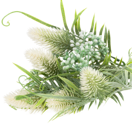 CV38674-1 bouquet of grass stems, thistle leaves, and flower heads x 5, white
