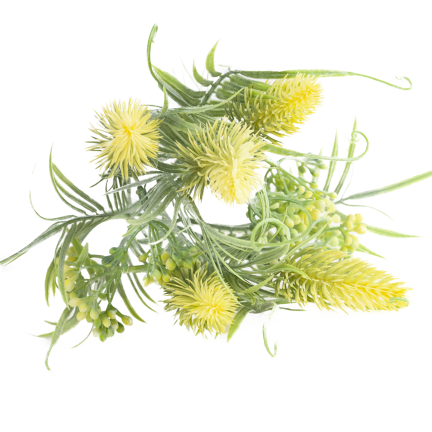 CV38674-2 bouquet of grass stems, thistle leaves, and flower heads x 5, yellow
