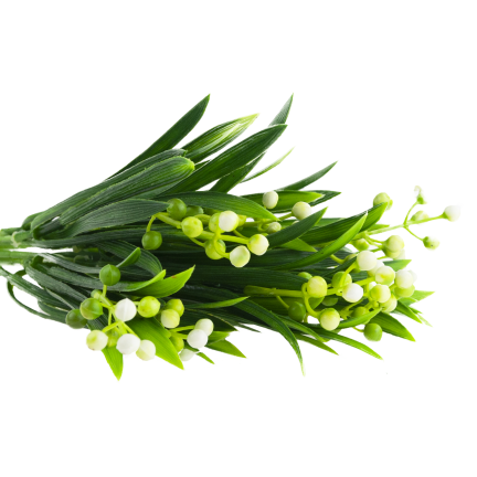 CV38694 BUKIET GAŁĄZEK X9 KONWALIA