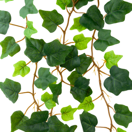 CV38808 Decorative Ivy Garland with Hanging Leaves