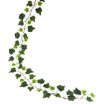 CV38808 Decorative Ivy Garland with Hanging Leaves