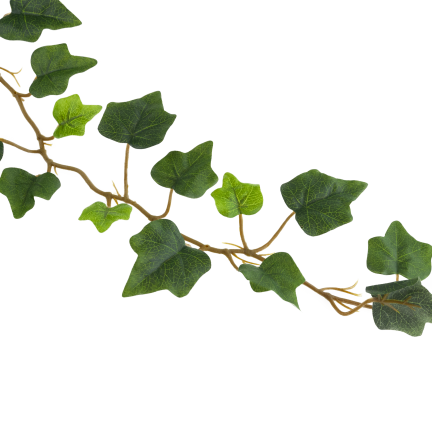 CV38808 Decorative Ivy Garland with Hanging Leaves