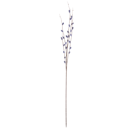 Catkin branch, catkins in spring, Easter decorations, floral arrangement decorations