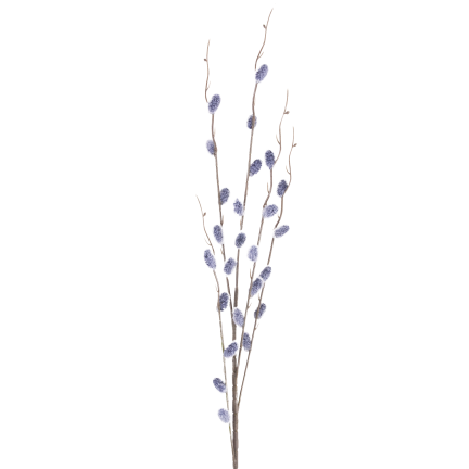 Catkin branch, catkins in spring, Easter decorations, floral arrangement decorations