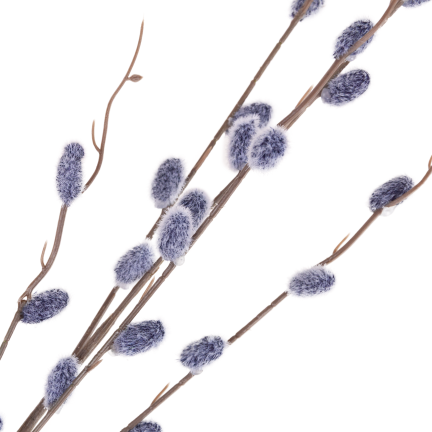 Catkin branch, catkins in spring, Easter decorations, floral arrangement decorations