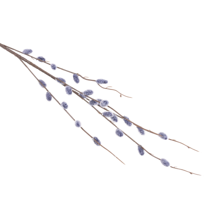 Catkin branch, catkins in spring, Easter decorations, floral arrangement decorations