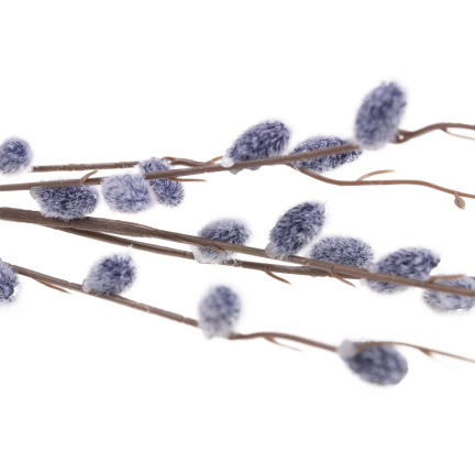 Catkin branch, catkins in spring, Easter decorations, floral arrangement decorations