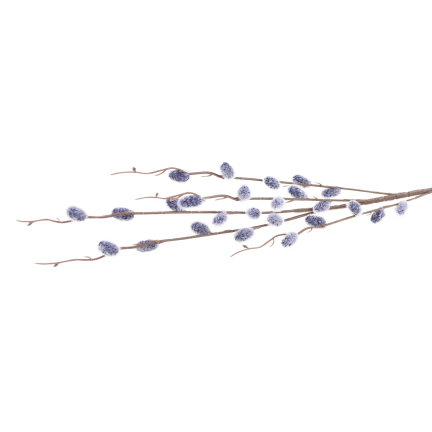 Catkin branch, catkins in spring, Easter decorations, floral arrangement decorations