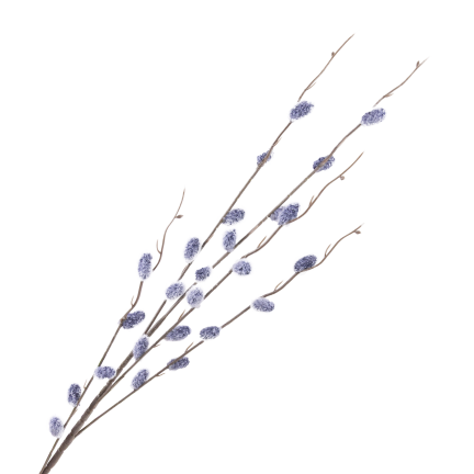 Catkin branch, catkins in spring, Easter decorations, floral arrangement decorations
