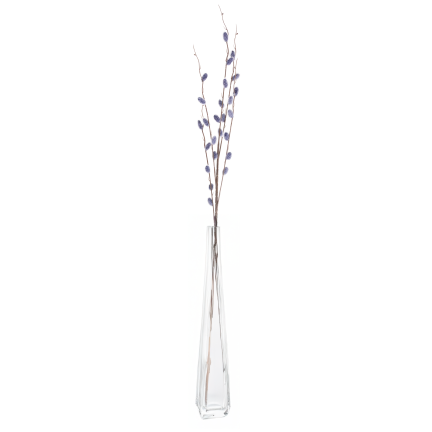 Catkin branch, catkins in spring, Easter decorations, floral arrangement decorations