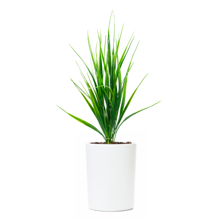 Artificial grass, grass bundle, grass on a spike, green, 39 cm