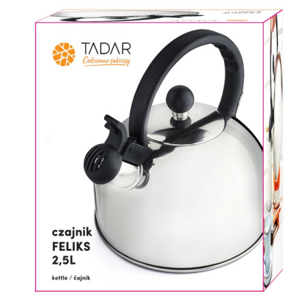 TD33 Edelstahl-Wasserkocher 2,5l Silber Induktion