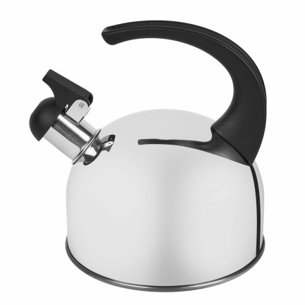 TD19 Tadar Seco 1.5l glänzender Wasserkocher für Gas und Induktion