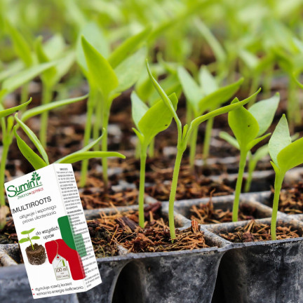 SUM28 Sumin Multiroots Rooting Agent, for rooting cuttings and bulbs of ornamental plants, 100 ml