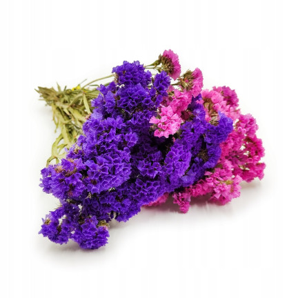 R2528 ROCKSPRING MIX OF UNIQUE COLORS BLUMENSAMEN FÜR TROCKENSTRÄUSSE