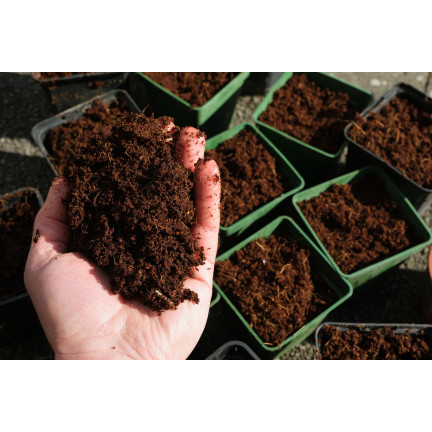 BIO9 ERDE FÜR PALMEN YUCCA DRACAENA 5L SUBSTRAT FÜR GRÜNPFLANZEN MIT BIOVITA DÜNGER