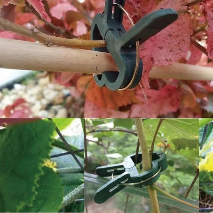 TG67386 Plant Clips for Securing Stems and Shoots, Garden Clips, 50 pcs/set