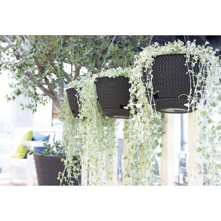 DSPW230-S433 23 cm round anthracite rattan hanging planter with hook, 3 L