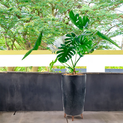 DGTL200E-S433 Gracia Slim Concrete-Effect Flower Pot with Concrete-Effect Legs