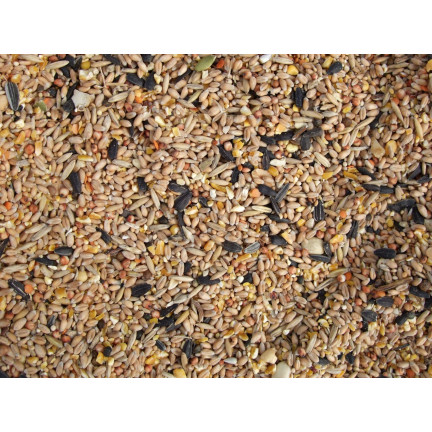 Wildvogelmischung, Ganzjahresfutter, Getreidekörner, Turdus 1kg