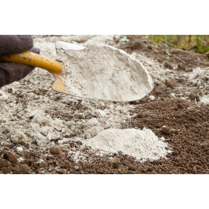 Dolomite, calcium-magnesium fertilizer, calcium and magnesium for lawns, Biovita, 5 kg