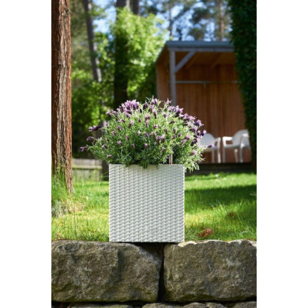 DRTS325L-S449 White Square Rattan Planter, White Rato Low Square Planter, Large Square Rattan Balcony Planter