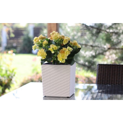 DRTS325L-S449 White Square Rattan Planter, White Rato Low Square Planter, Large Square Rattan Balcony Planter