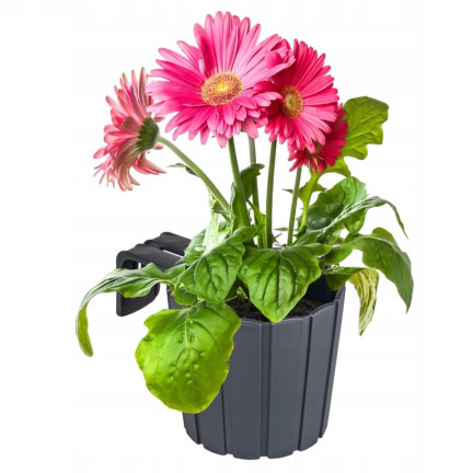 DDEZ150-S433 Balcony Planter for Balustrades and Handrails with Hook, Anthracite Rustic Planter