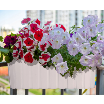 DDECZ400-S449 Oval balcony planter box for railings, with hooks, white