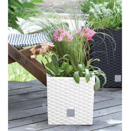 DRTS170L-S449 RATTAN GEHÄUSE TOPF WEISS FÜR GARTEN RATO NIEDRIGEN BLUMEN