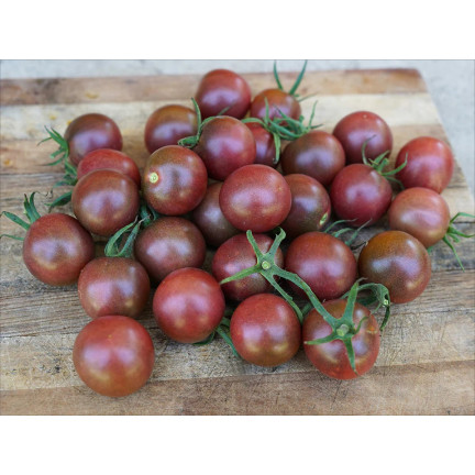 W9558 ČERNÁ CHERRY RAJČATA VYSOCE MLETÁ 0,3 G SEMEN RAJČAT