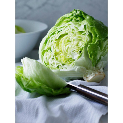 W1212 KNACKIGER EISBERGSALAT KÖNIGIN DES SOMMERS FRÜHGEMÜSESALAT SAMEN 1G