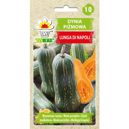 W1245 DÝNĚ MÁSLOVÁ CUCURBITA MOSCHATA JEMNÁ PŘÍCHUŤ DÝŇOVÁ SEMÍNKA 5G