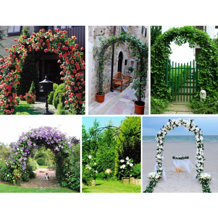 PERG-N3214 zahradní kovový oblouk pro růže květiny větve 240cm