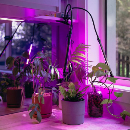IM011 LED-PFLANZENWACHSTUMSLAMPE MIT CLIP ON TIMER-STEUERUNG
